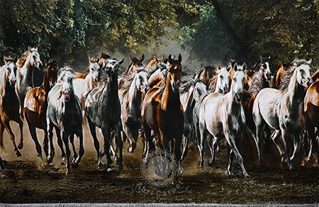 Herd of horses Handwoven carpet