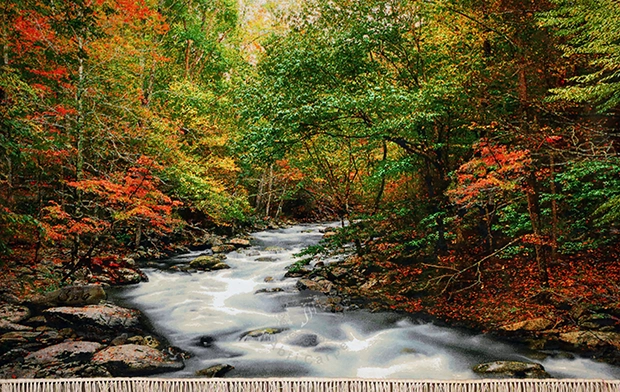 River in the spring Handwoven carpet