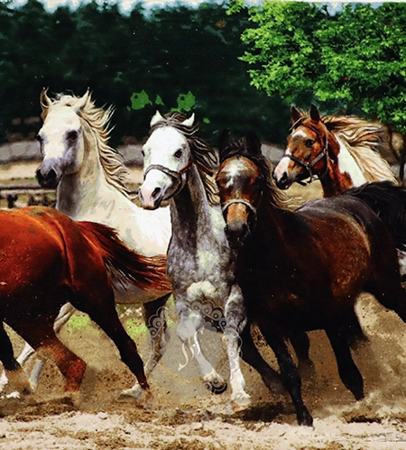 Herd of horses Handwoven carpet
